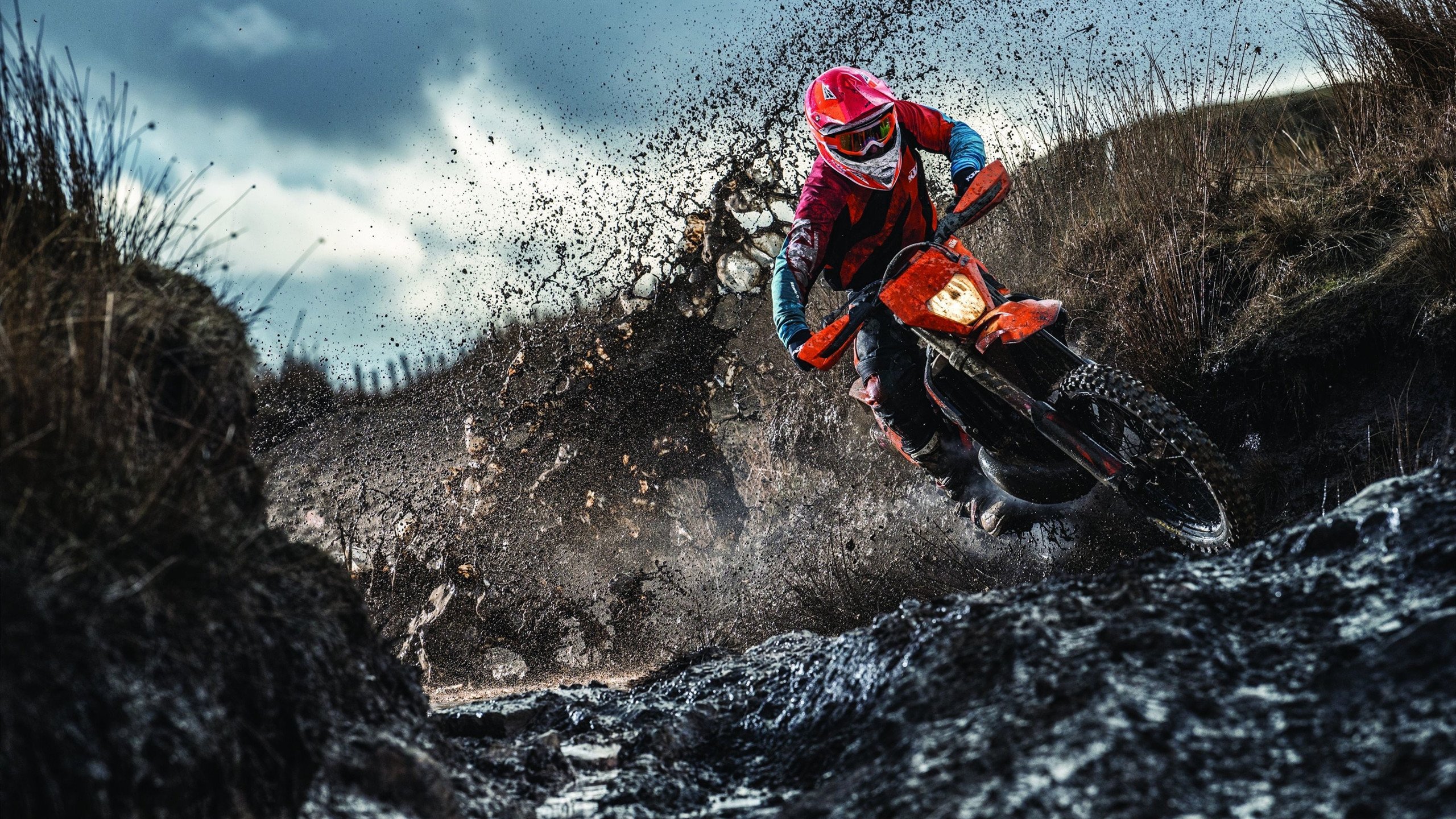 球迷点评：本年度最惊艳的个人突破，球迷排行