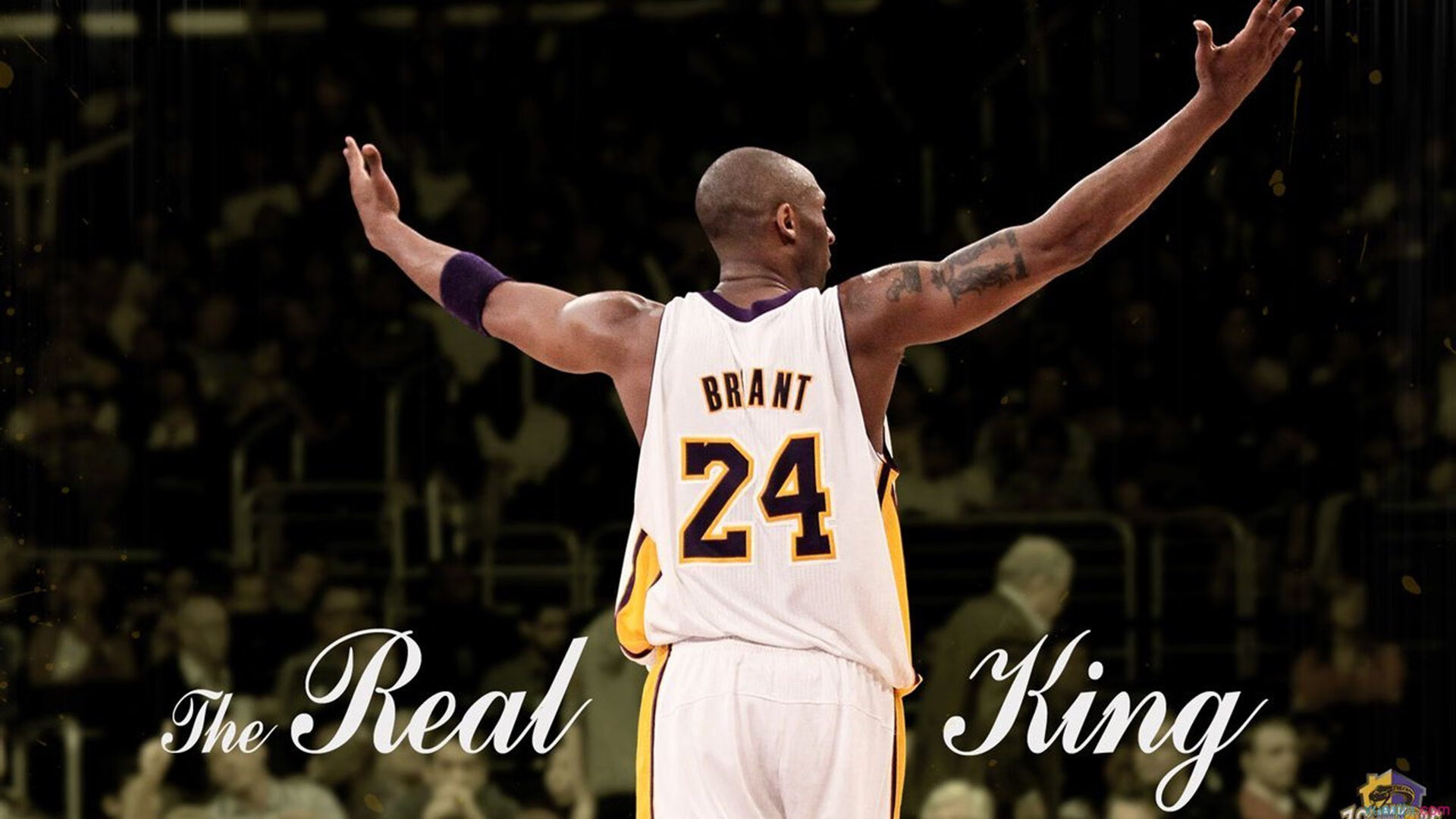 球队文化：不同区域球队的特色与精神风貌，球队文化的具体表现